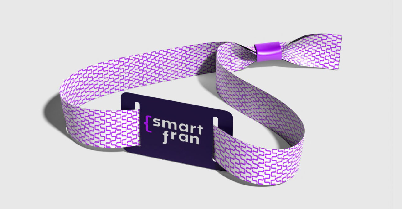 SMARTFRAN Manual de Identidad de Marca_Mesa de trabajo 1 copia 31